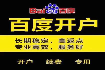 百度竞价包年推广案例：低成本高回报的营销策略